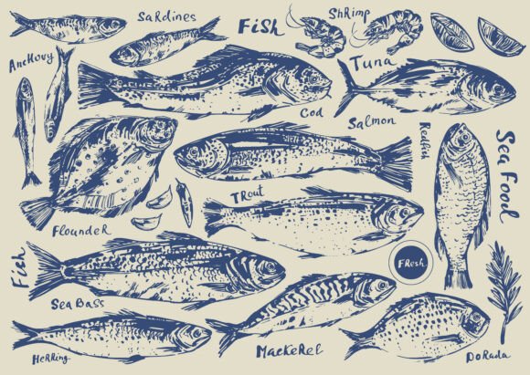 Download Fish Illustration Set - Illustration Collection
