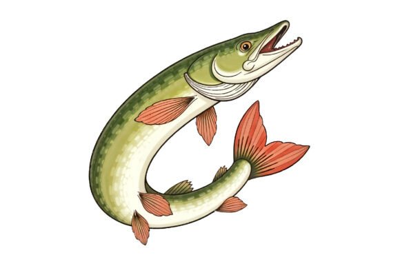 Download Pike Fish Illustration PNG Sublimation - Illustration Collection