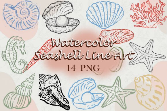 Download Watercolor Seashell Line Art PNG - Premium Resources