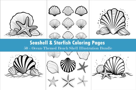 Download 50+ Beach Seashell Illustration Pack - Illustration Collection